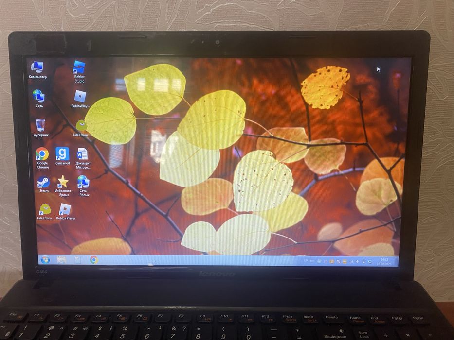 Ноутбук Lenovo G585