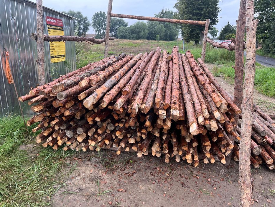 Stemple budowlane ZACIĘTE słupki ogrodzenie siata leśna