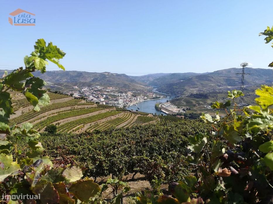 Quinta para venda no Douro
