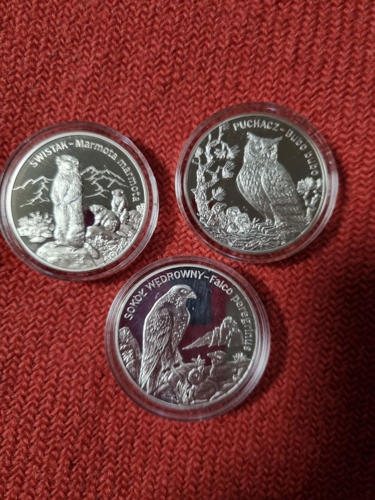Srebrna moneta 20zł Świstak