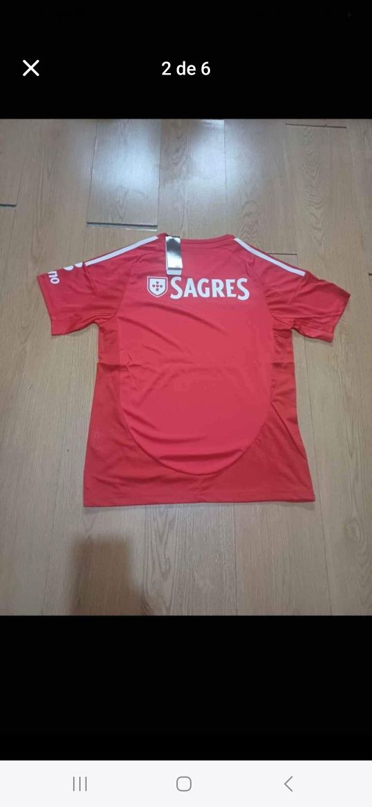 Versão Fã Benfica 24/25