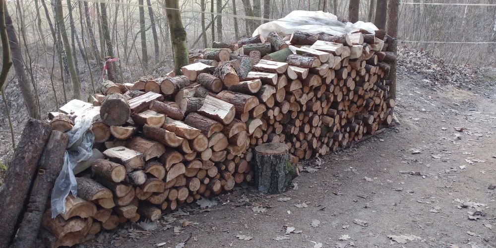 Drewno kominkowe/opał. Liściaste różne gat.zeszły rok Modrzew 2-letni!