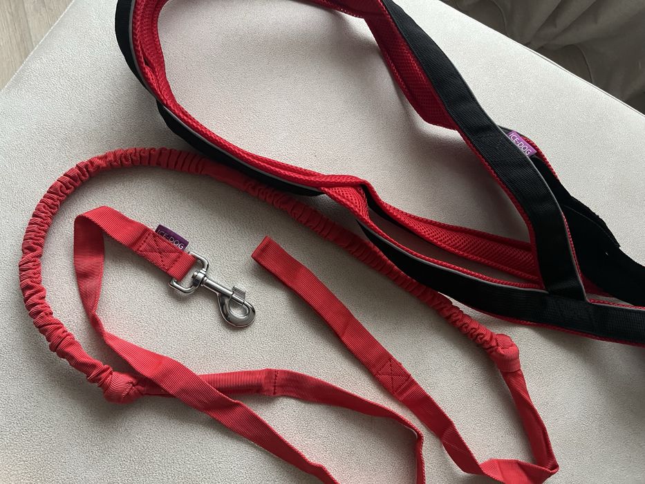 Їздова шлейка для собак, поводок потяг для собак