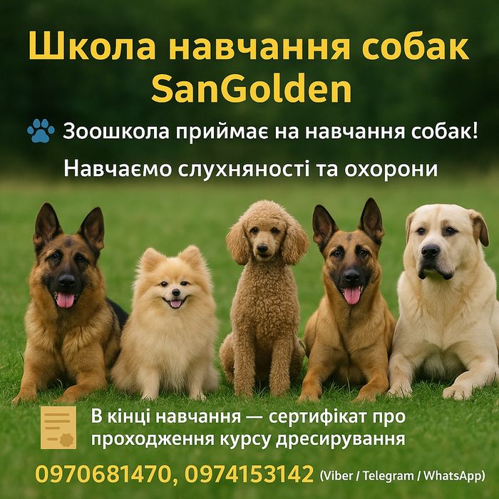 Послуги Кінолога