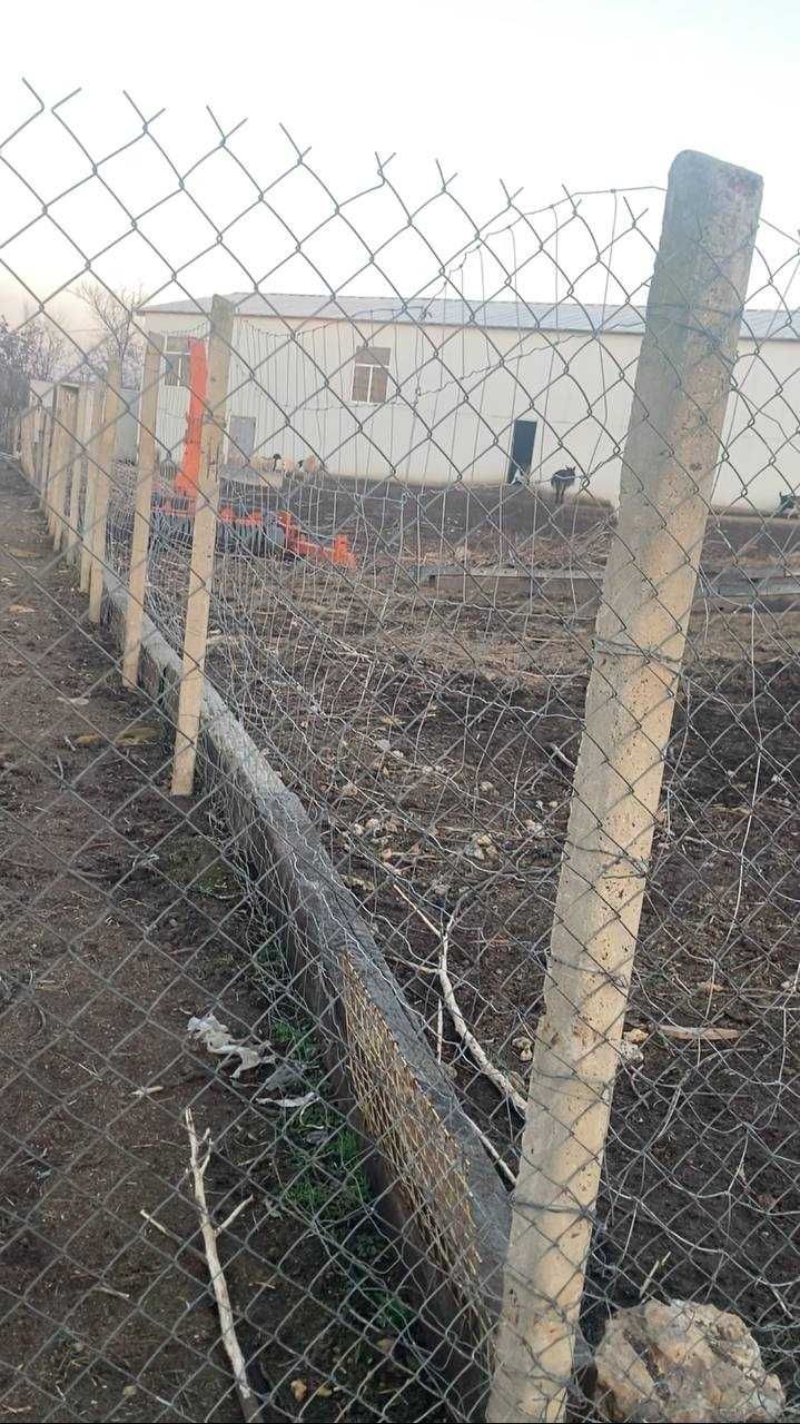 стовпчики, стовпи, столбики, огорожа, загорожа, забор, паркан