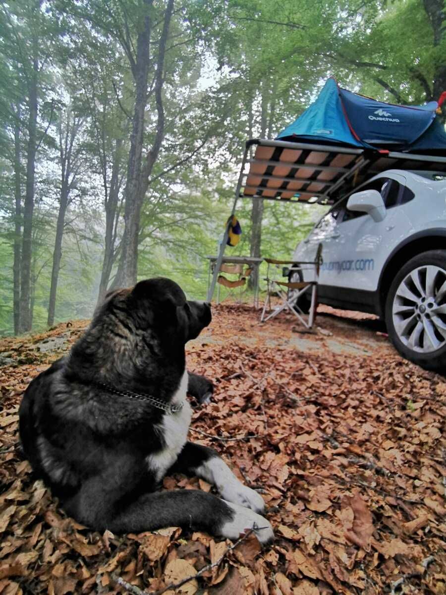Platforma pod namiot dachowy CampUp – Karma 50.130