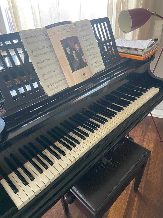 Piano Bechstein bem tratado