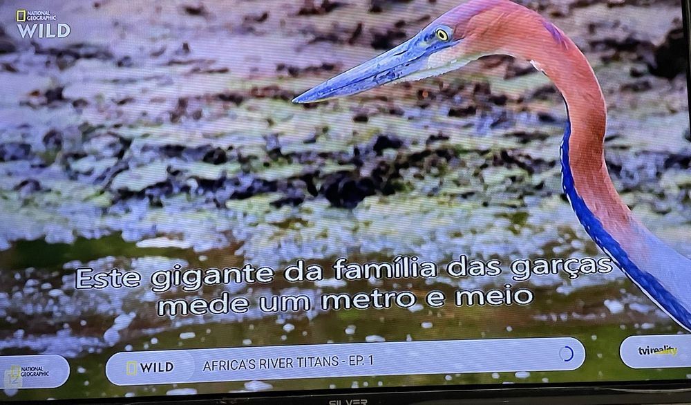 TV Silver 32” em excelente estado de funcionamento. Comando original.