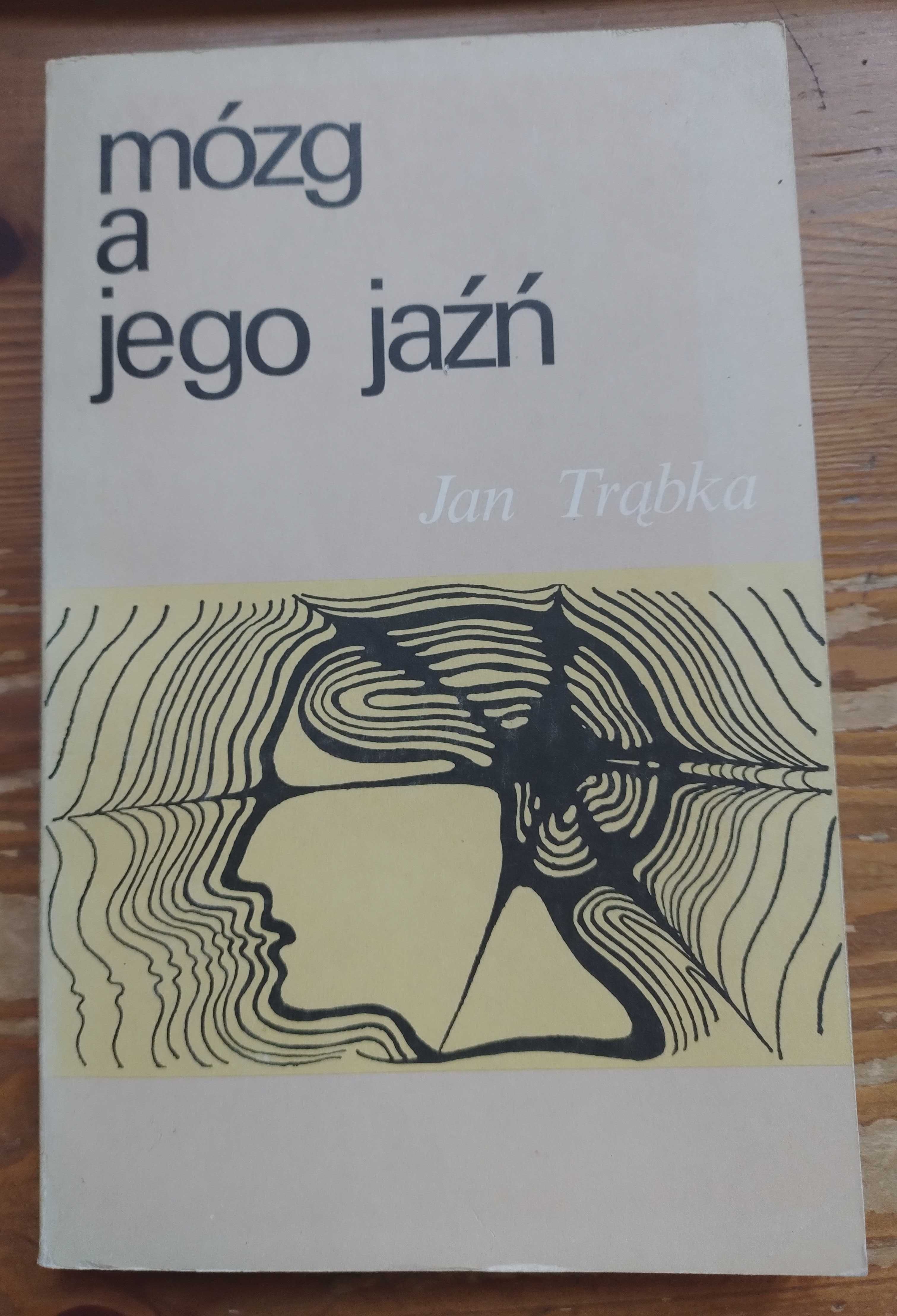 Mózg a jego jaźń - Jan Trąbka, 1991 rok