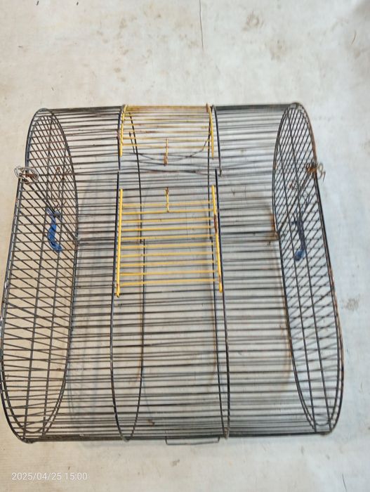 Клітка клітка клітка.