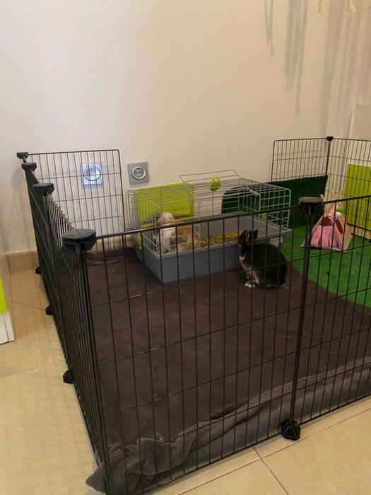 Klatka dla gryzoni królików świnki morskiej psa kota NOWA modułowa