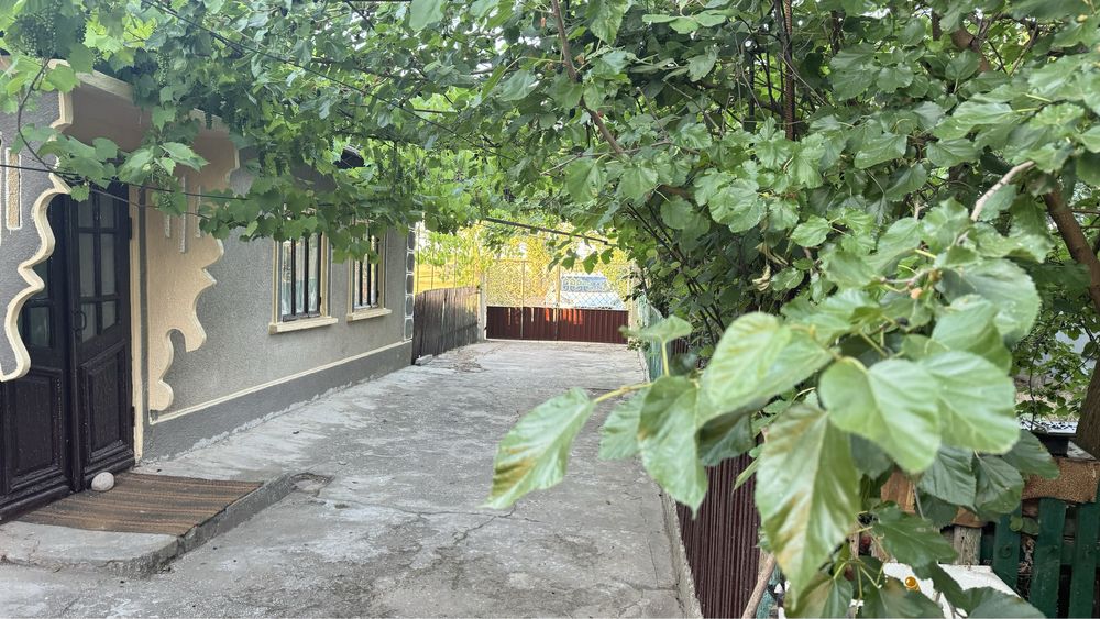 Продам будинок в с.Шабо