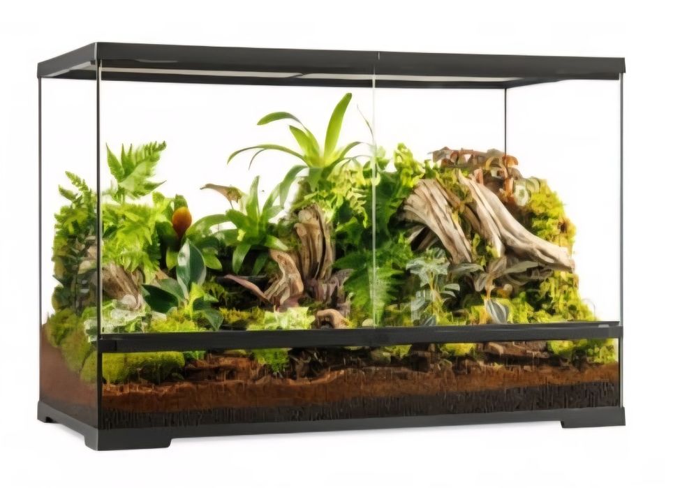 Terrarios novos varios tamanhos