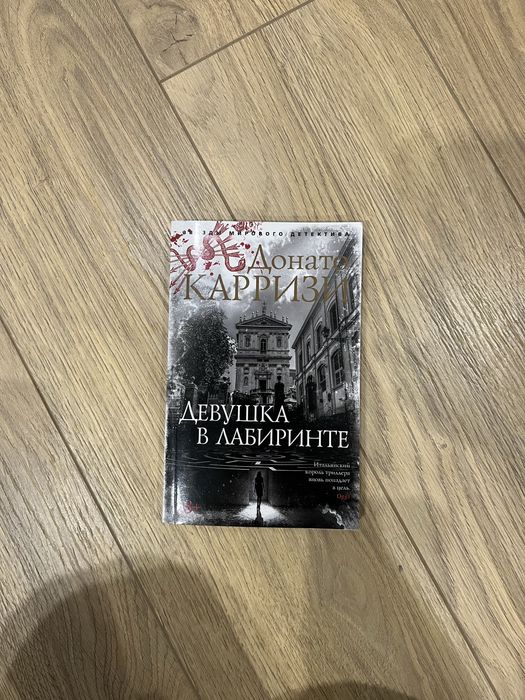 Девушка в лабиринте. Донато Карризи