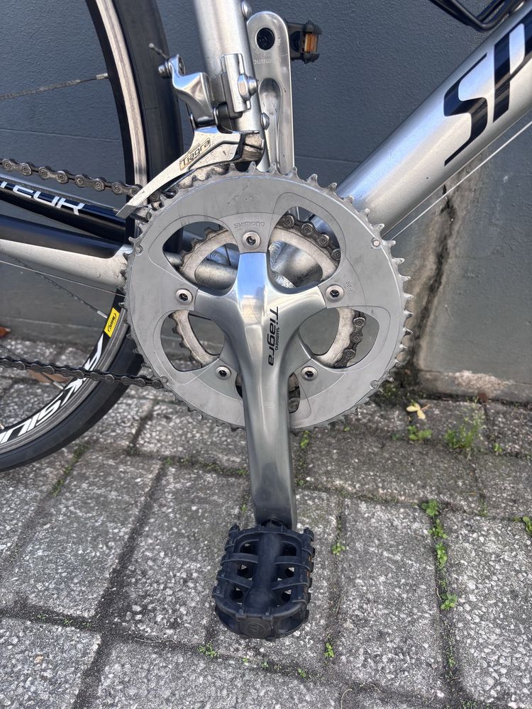 Specialized Secteur