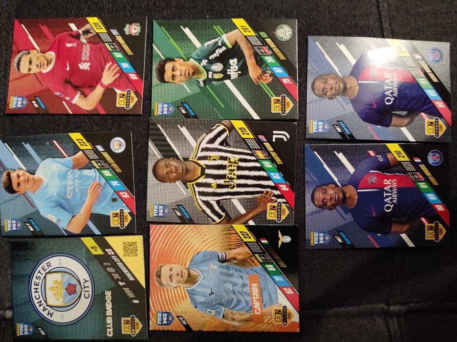 Karty piłkarskie, FIFA 365, panini, 2024