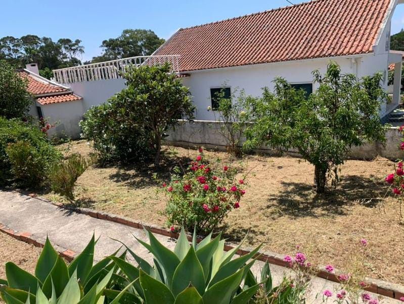 Limpeza de terreno e garagem