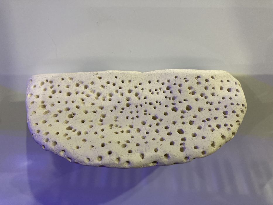 Półka ceramiczna magnetyczna korale szczepki akwarium morskie 11x5.5cm