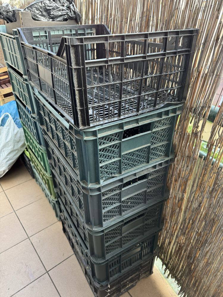 Skrzynki plastikowe na czereśnie 15kg