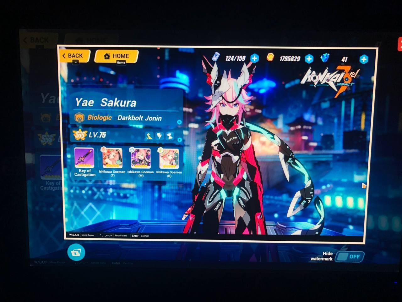 Account Genshin Honkai