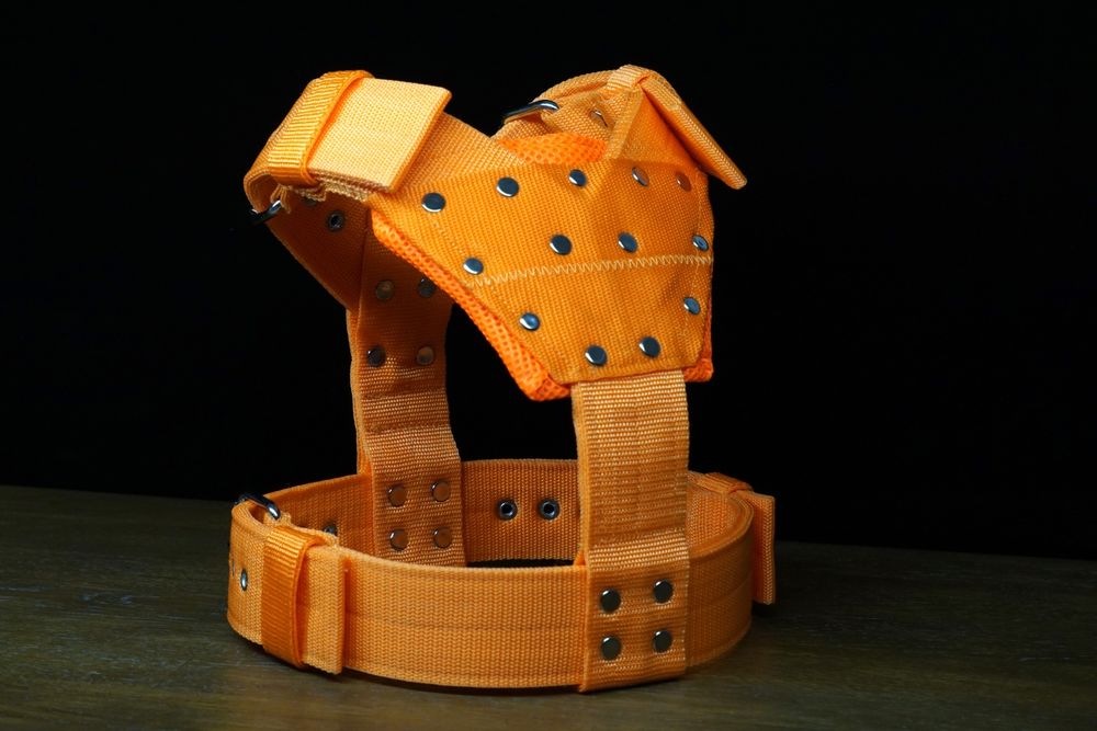 Mocne szelki GUARD dla psa.