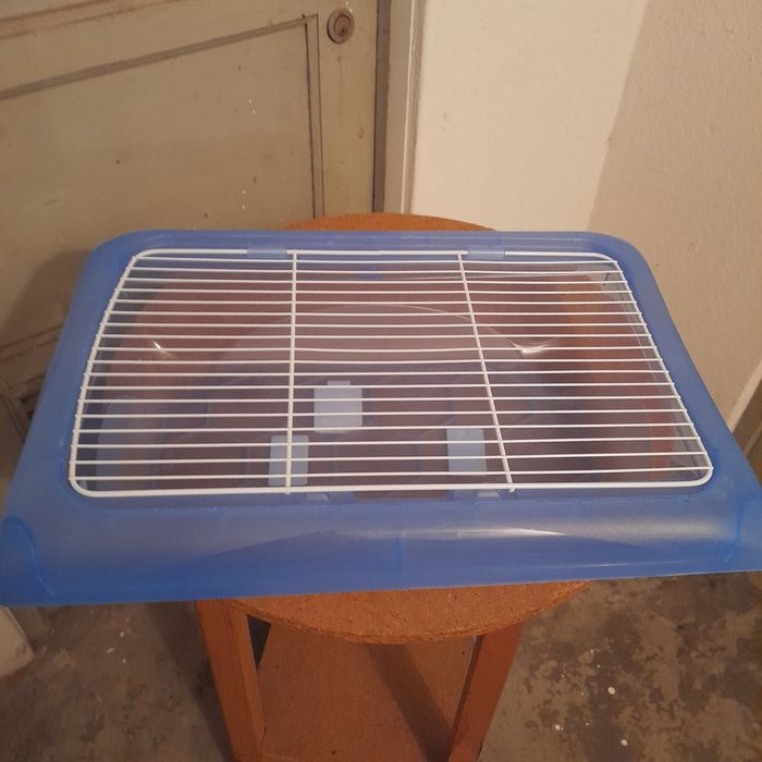 Caixa roedores e ou tartarugas