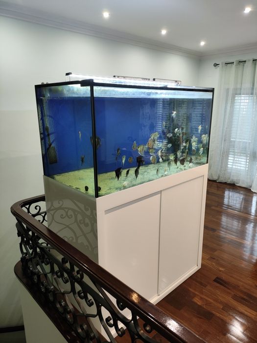 Aquario 700 litros