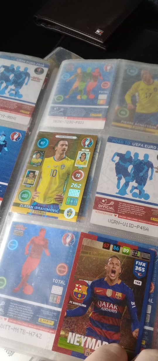 Karty panini różne roczniki