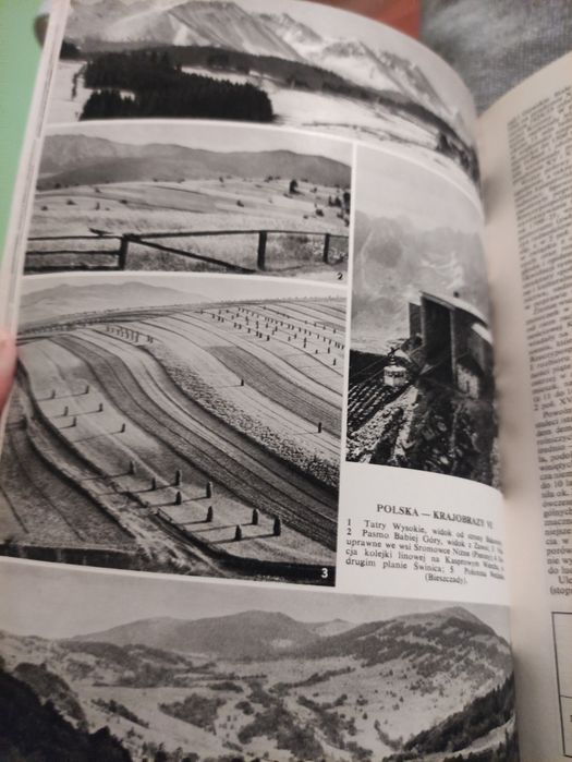 Wielka encyklopedia powszechna PWN Polska