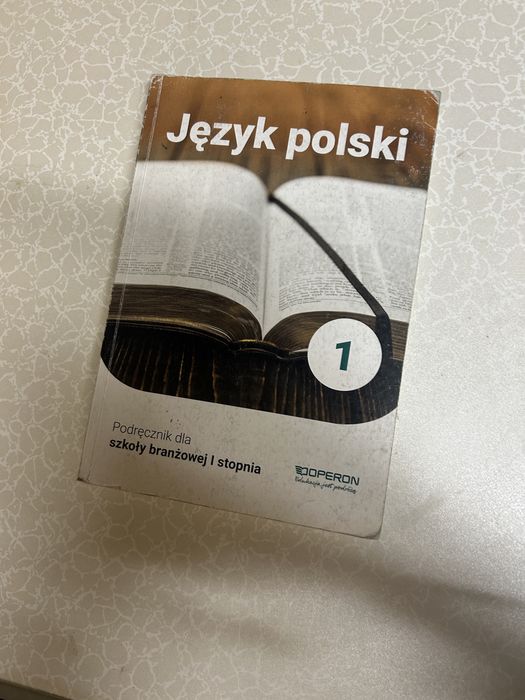 Język Polski podręcznik dla szkoły branżowej 1 stopnia