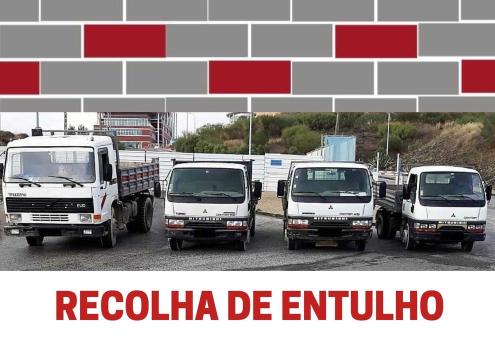 Recolha de entulho e Lixo doméstico com pessoal Qualificado