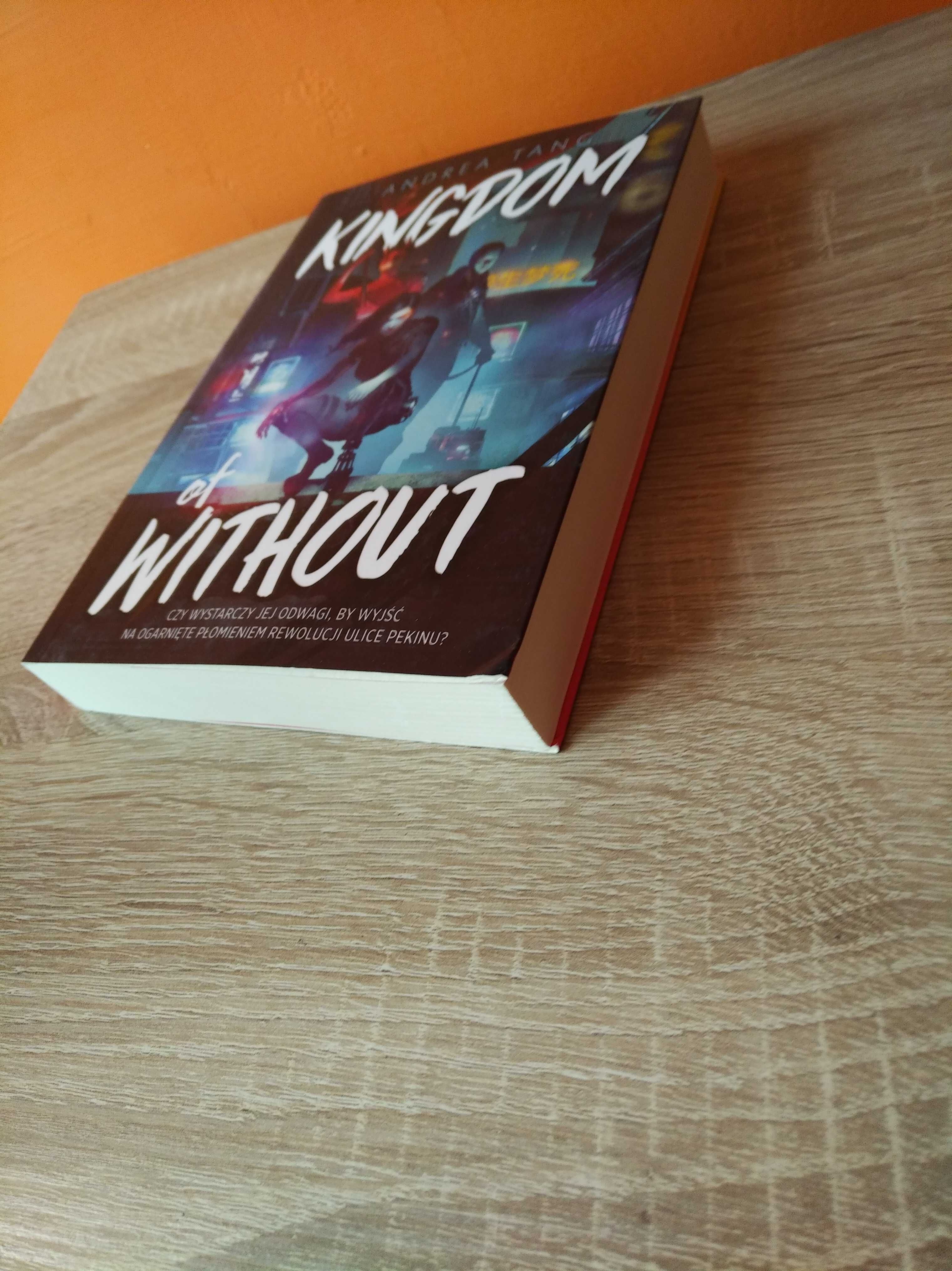 Kingdom of Without Andrea Tang