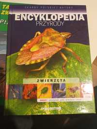 Encyklopedia przyrody zwierzęta owady tom 39 DeAGOSTINI