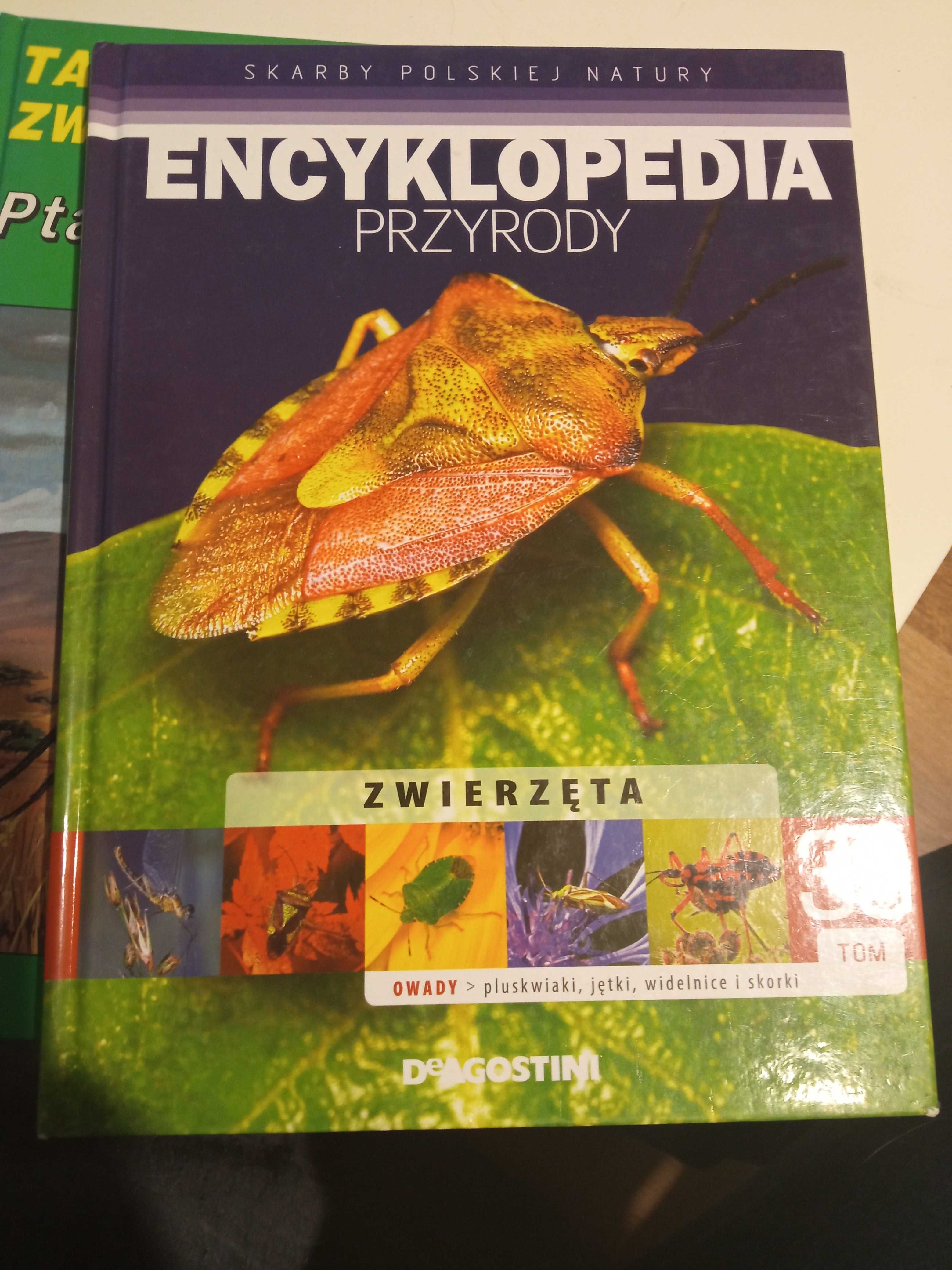 Encyklopedia przyrody zwierzęta owady tom 39 DeAGOSTINI