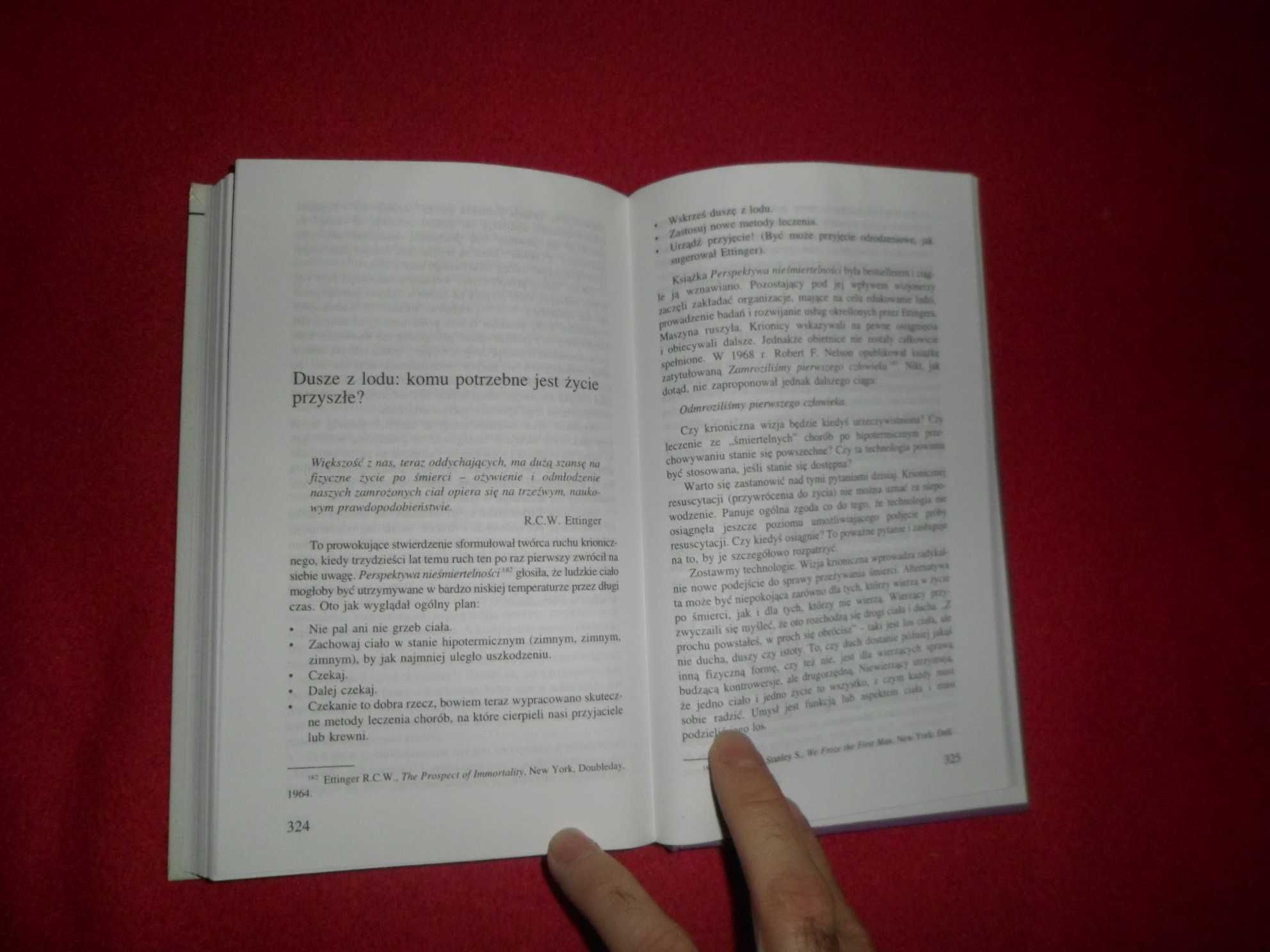 Robert Kastenbaum - Po tamtej stronie życia
