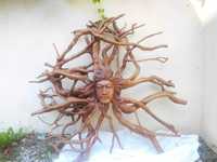 Piękna rzeźba z korzenia, rękodzieło z Bali, Meduza, bogini Słońca
