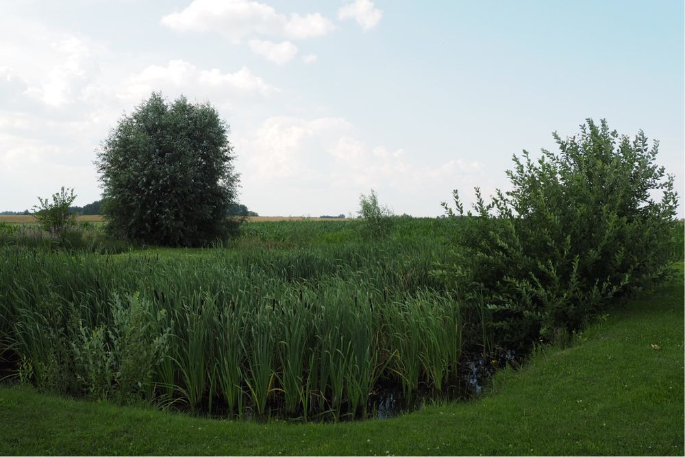 Agroturystyka u Grażki