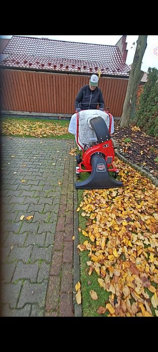 Profesjonalne usuwanie liści – dla firm I osób prywatnych