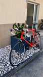 Rower szosowy Cannondale Caad
