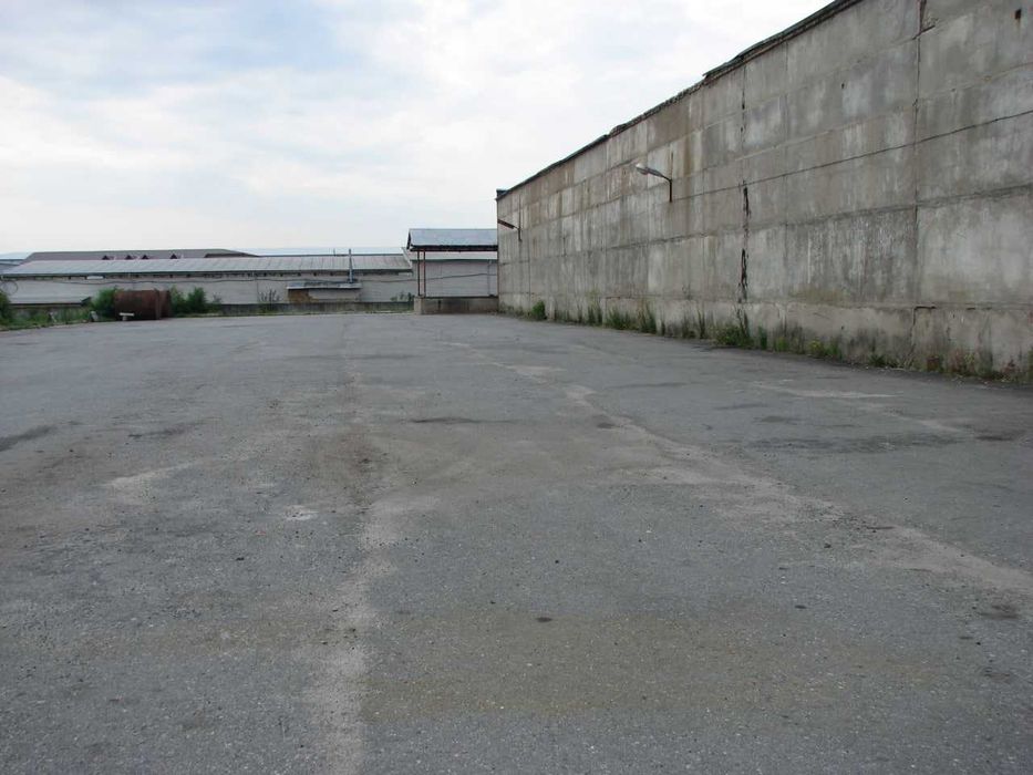 с. Мила. Оренда 245 м2, 1-й поверх. Від власника. Житомирська траса