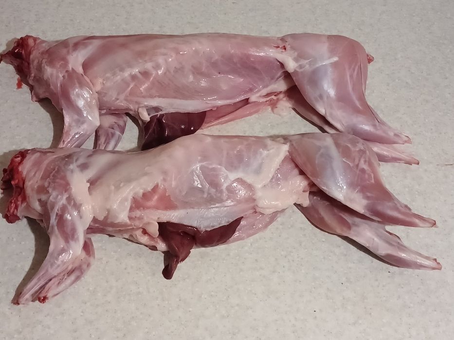 Мясо , м'ясо,  тушка молодых кроликов