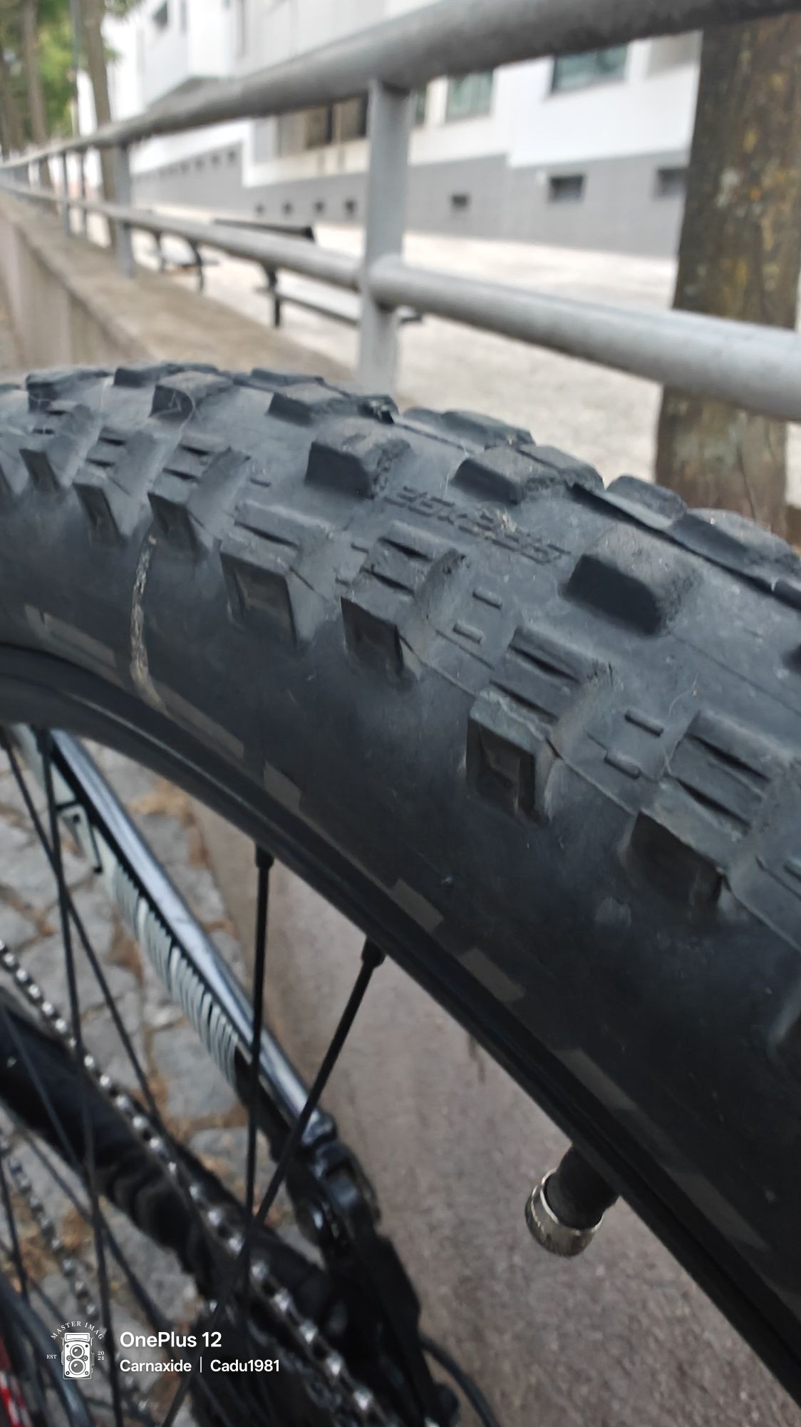 scott spark 50 2010