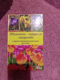 Книга о луковичных растения.