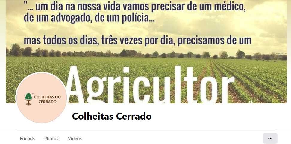 Milho doce biológico entrega ao domicílio