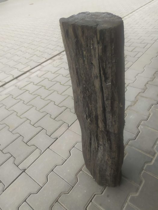heban - czarny dąb