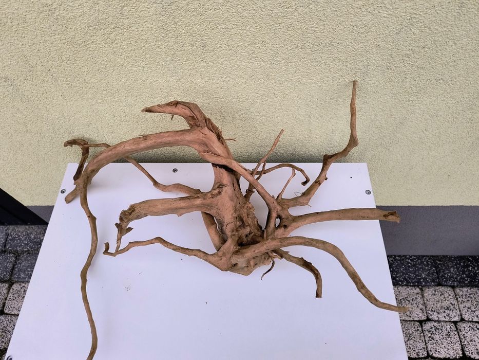 Korzeń Red mur 60*40*20