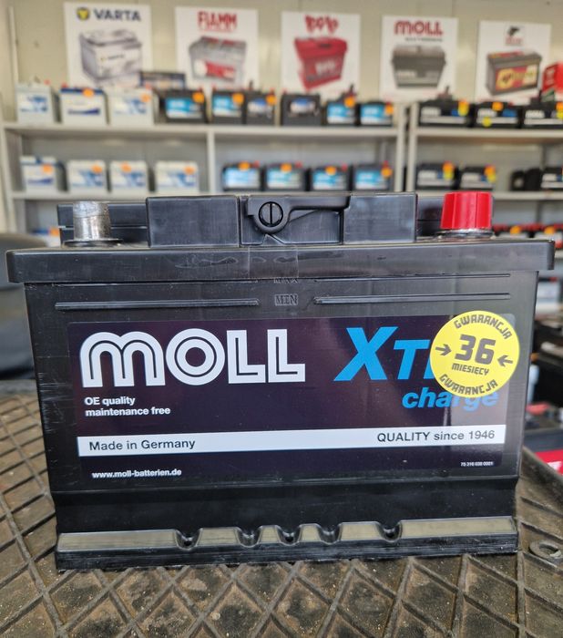 Nowy Akumulator MOLL 12V 62Ah 620A