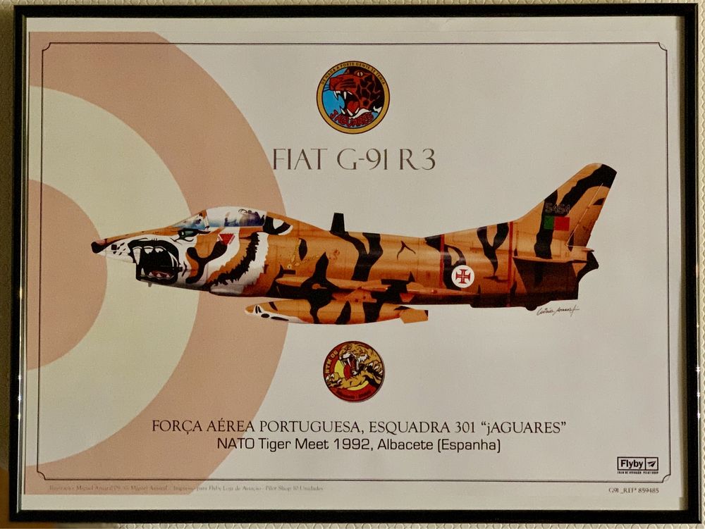 Quadro Força Aérea Portuguesa Fiat G91