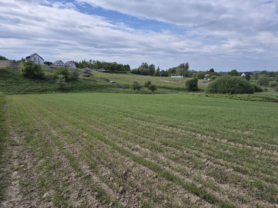 Ziemia rolna pod siedlisko lub zabudowę