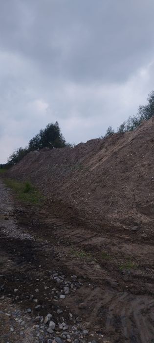 Oddam ziemię za darmo